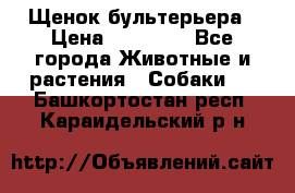 Щенок бультерьера › Цена ­ 35 000 - Все города Животные и растения » Собаки   . Башкортостан респ.,Караидельский р-н